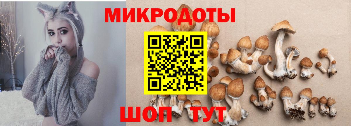 Набережные Челны  Псилоцибиновые грибы мицелий  Галлюциногенные грибы мицелий  Вход с VPN 